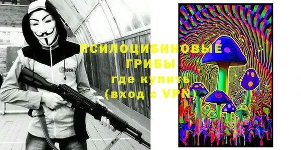 мет Карпинск