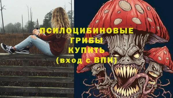 прущая мука Щигры