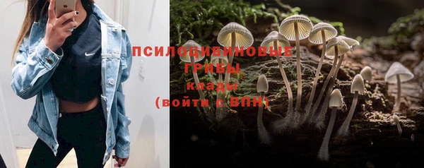 мет Карпинск