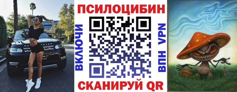 купить Новомосковск Псилоцибиновые грибы мухоморы