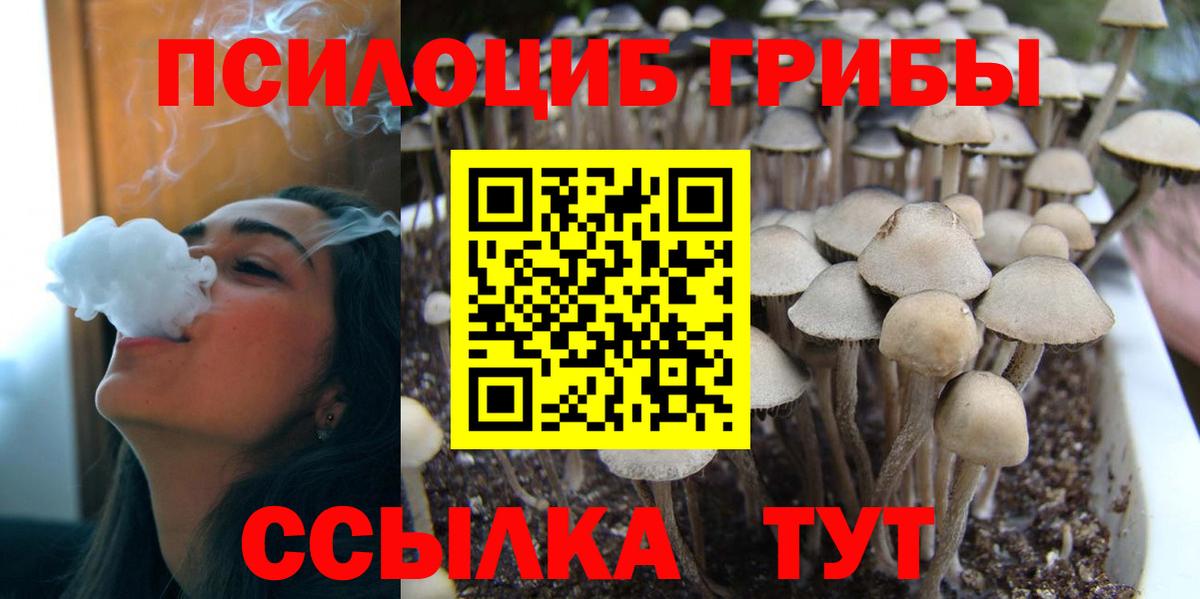 Галлюциногенные грибы Magic Shrooms Новомосковск