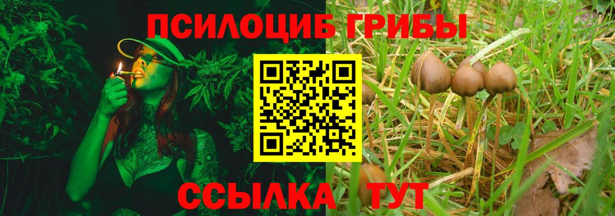 Новомосковск  Галлюциногенные грибы прущие грибы  Вход с VPN 